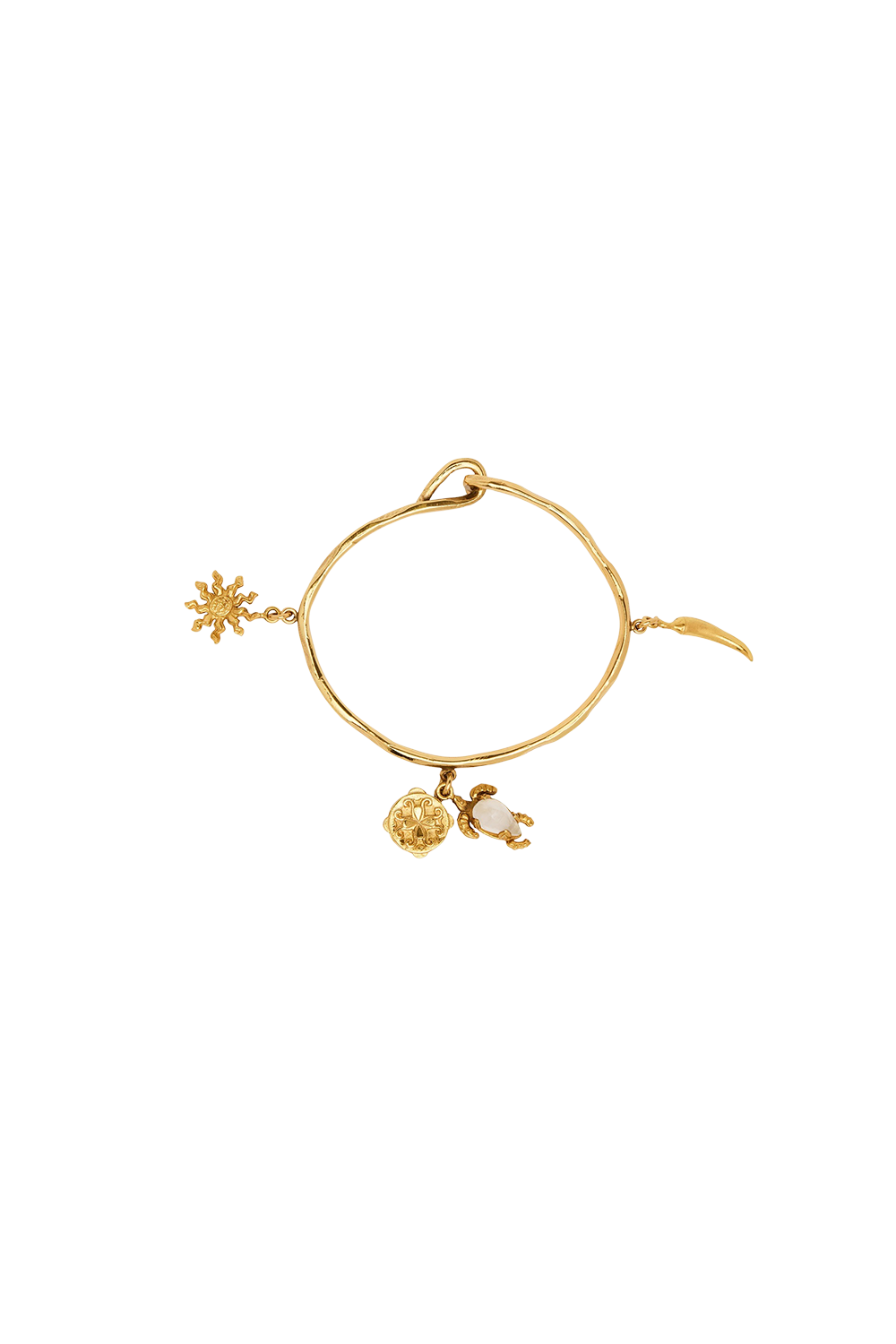 Encanto Collector Charm Bangle