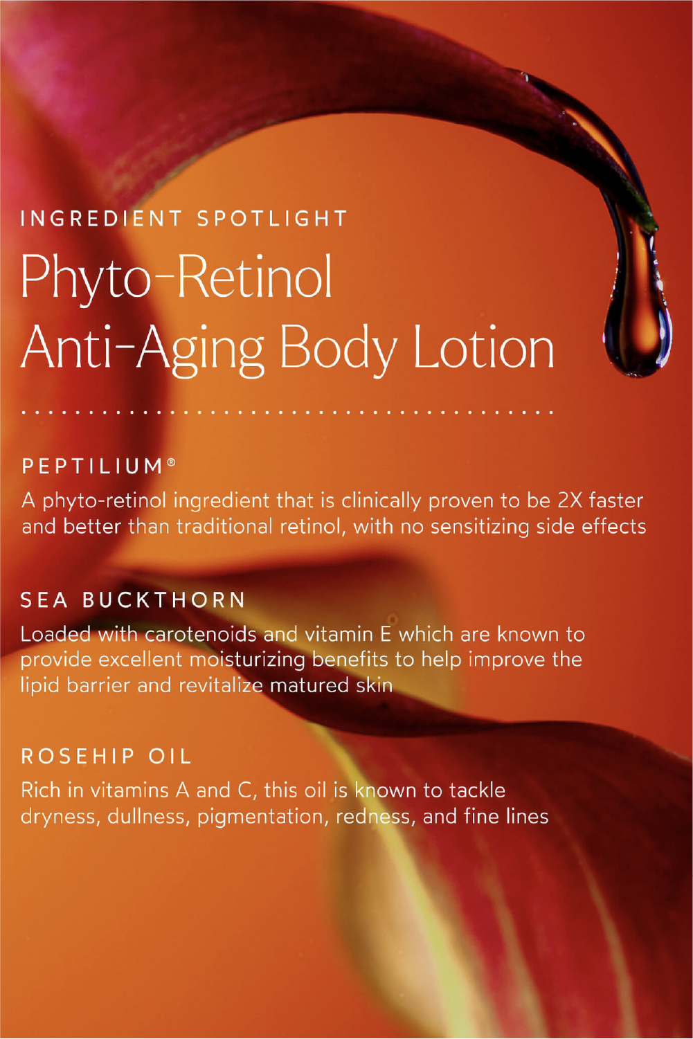 Phyto-Retinol Anti-Aging Body Lotion 