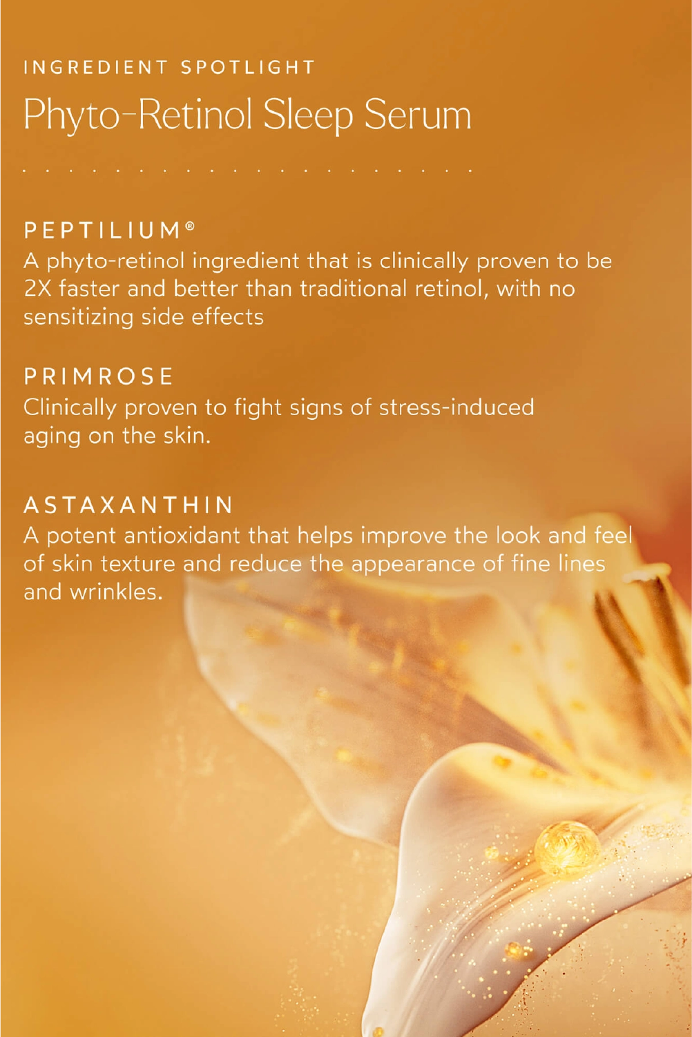 Phyto Retinol Sleep Serum