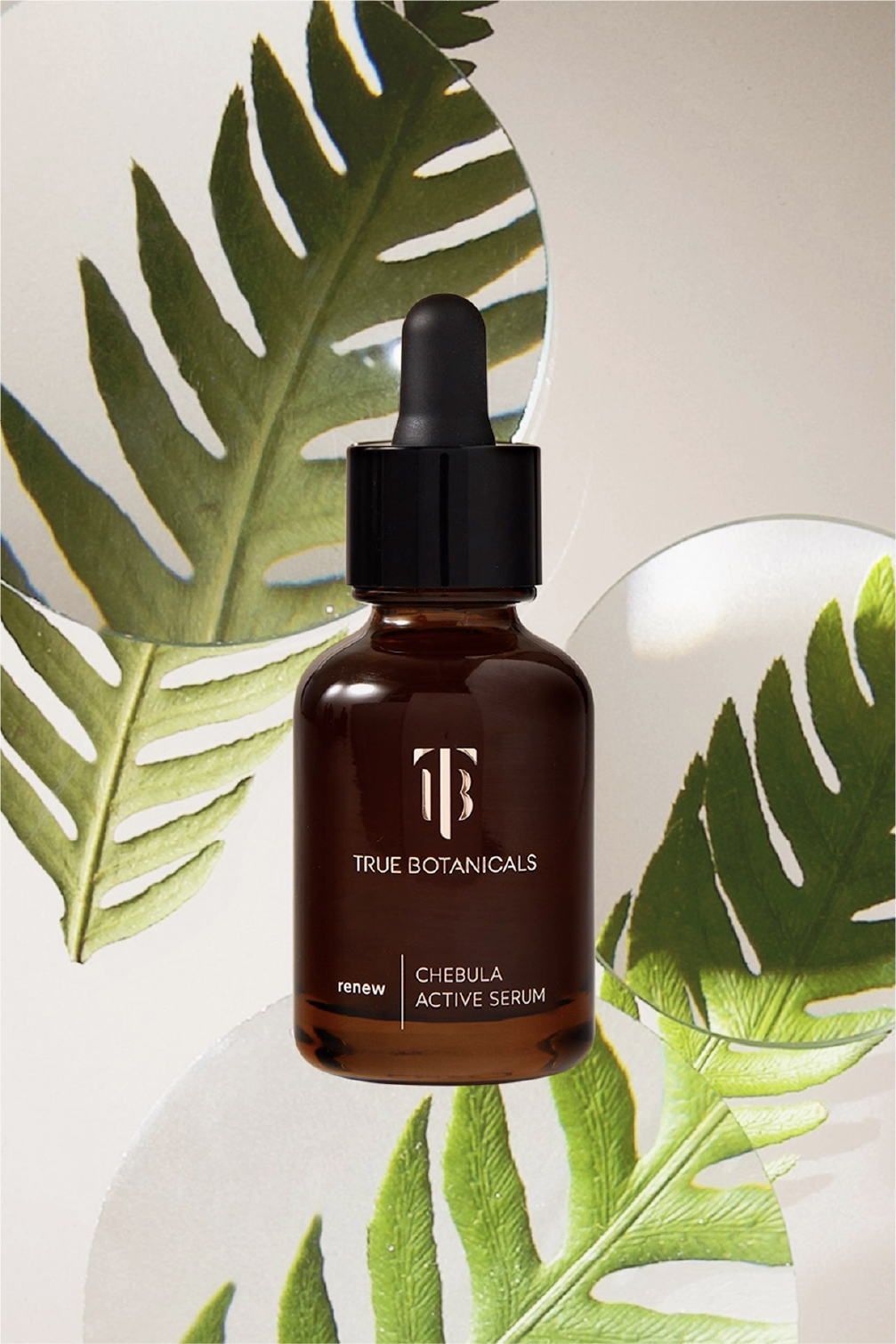 Renew Chebula Serum 