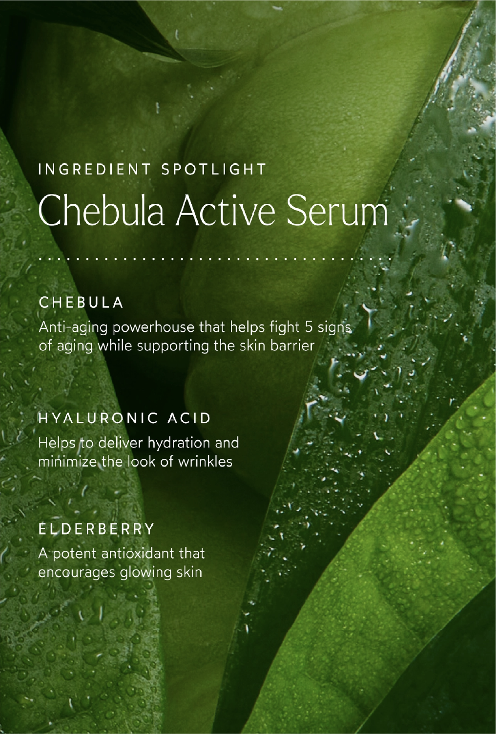 Renew Chebula Serum 